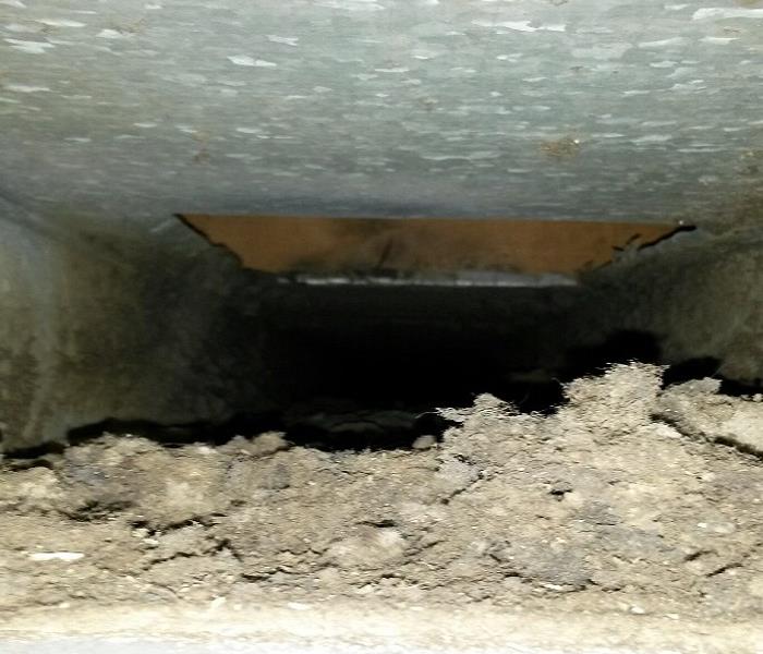 Dirty Duct 