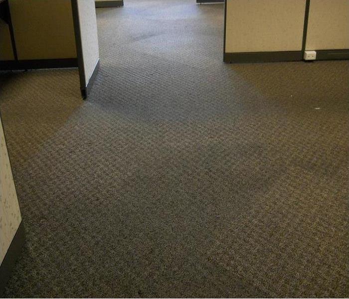 Carpet wet in a office from flooding
