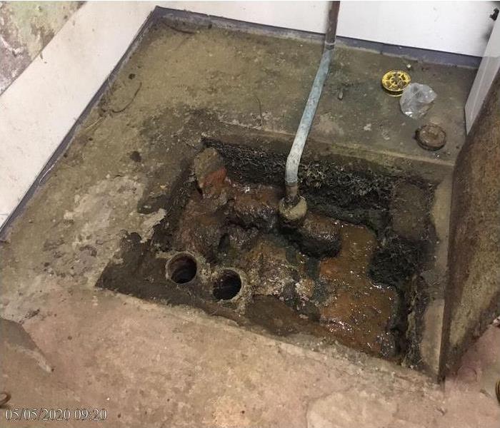 Water backing up in a basement trap